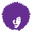Perfect Mane logo